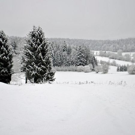 Fewo Radi An Der Buchberger Leite Appartement Hohenau Buitenkant foto