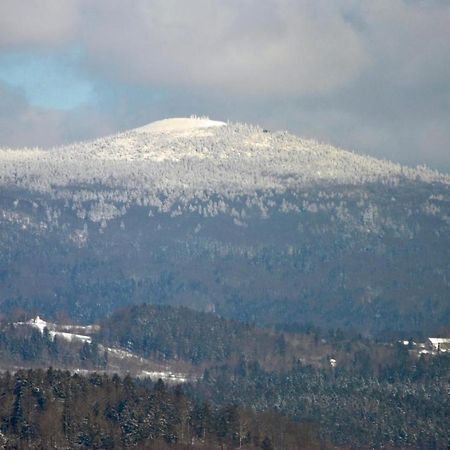 Fewo Radi An Der Buchberger Leite Appartement Hohenau Buitenkant foto