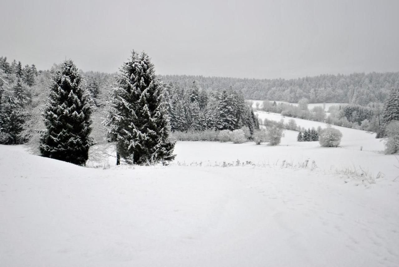 Fewo Radi An Der Buchberger Leite Appartement Hohenau Buitenkant foto