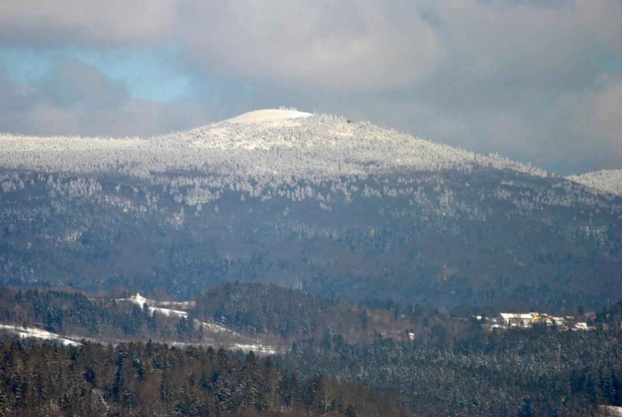 Fewo Radi An Der Buchberger Leite Appartement Hohenau Buitenkant foto