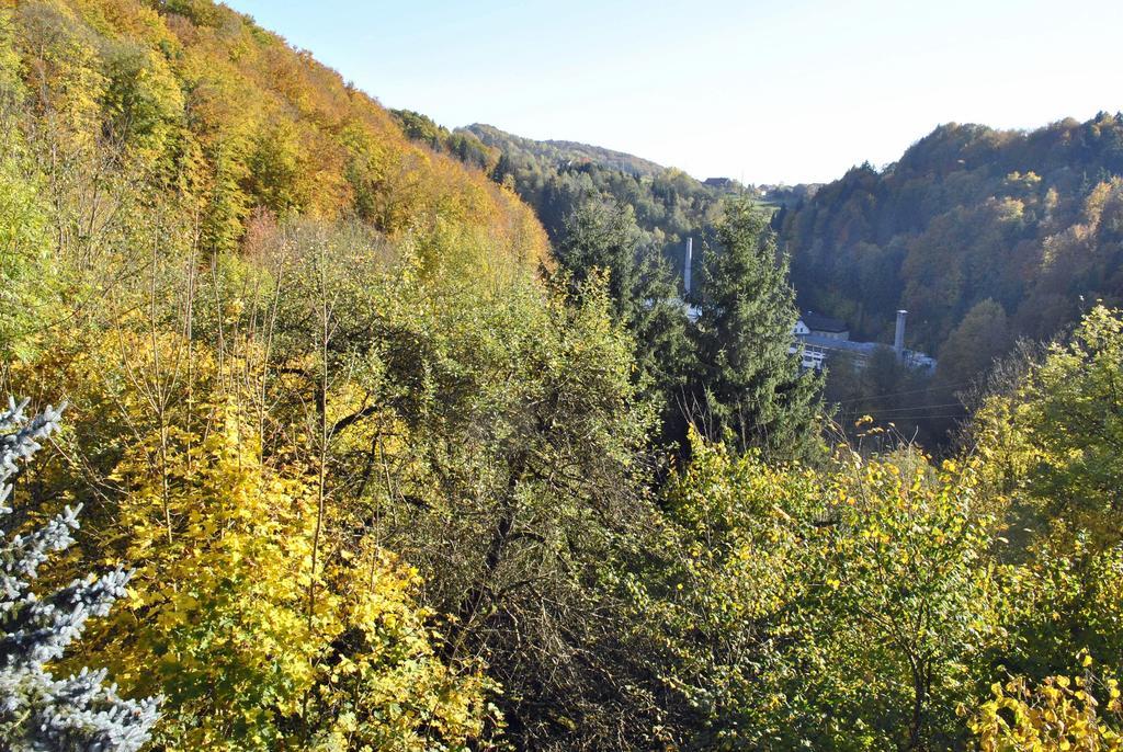 Fewo Radi An Der Buchberger Leite Appartement Hohenau Buitenkant foto