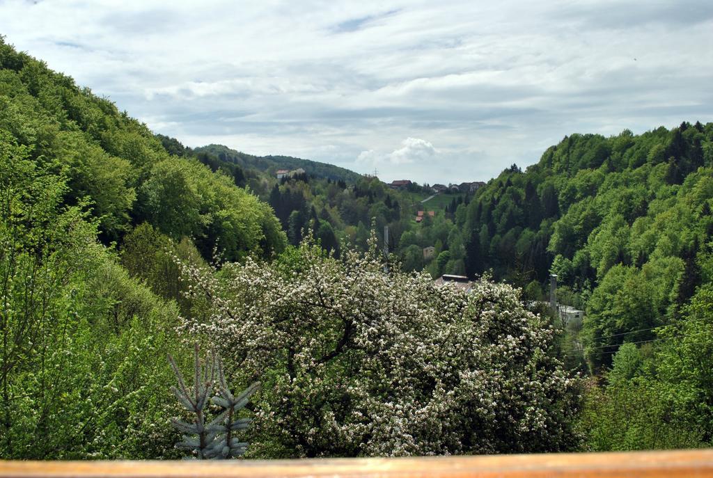 Fewo Radi An Der Buchberger Leite Appartement Hohenau Buitenkant foto