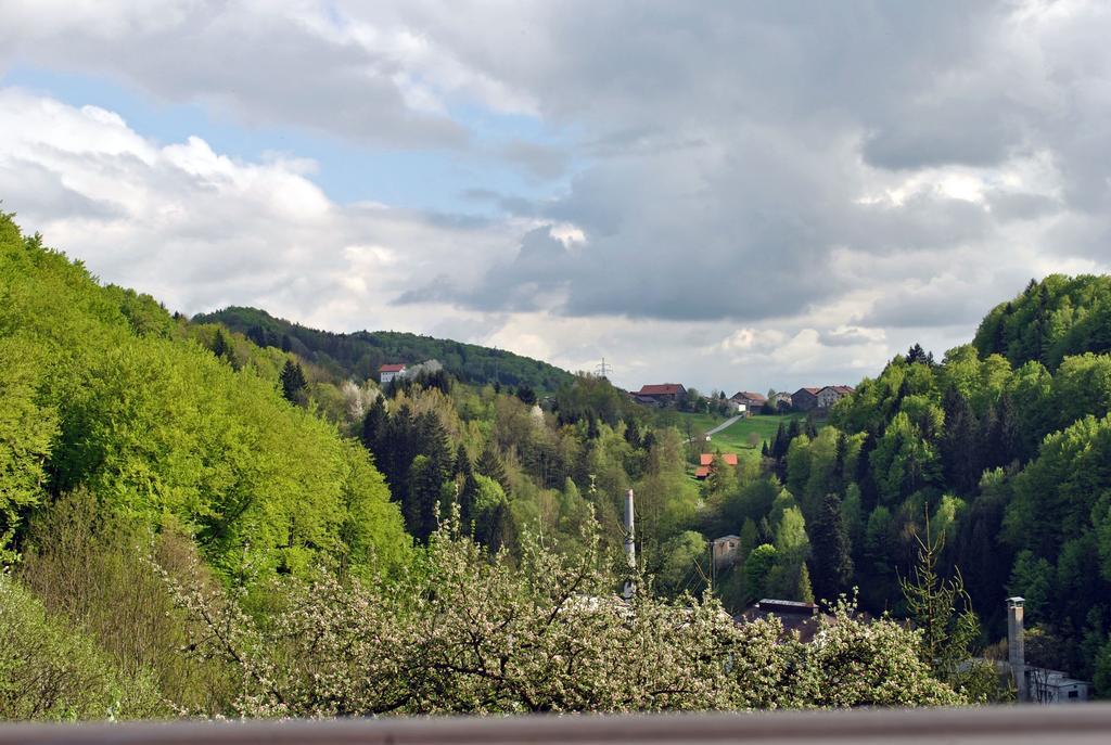 Fewo Radi An Der Buchberger Leite Appartement Hohenau Buitenkant foto